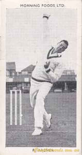 Ron Archer