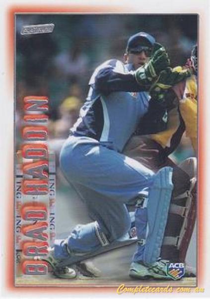 Brad Haddin