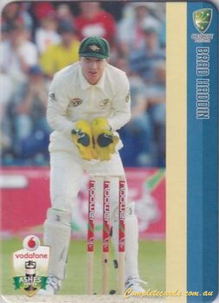 Brad Haddin