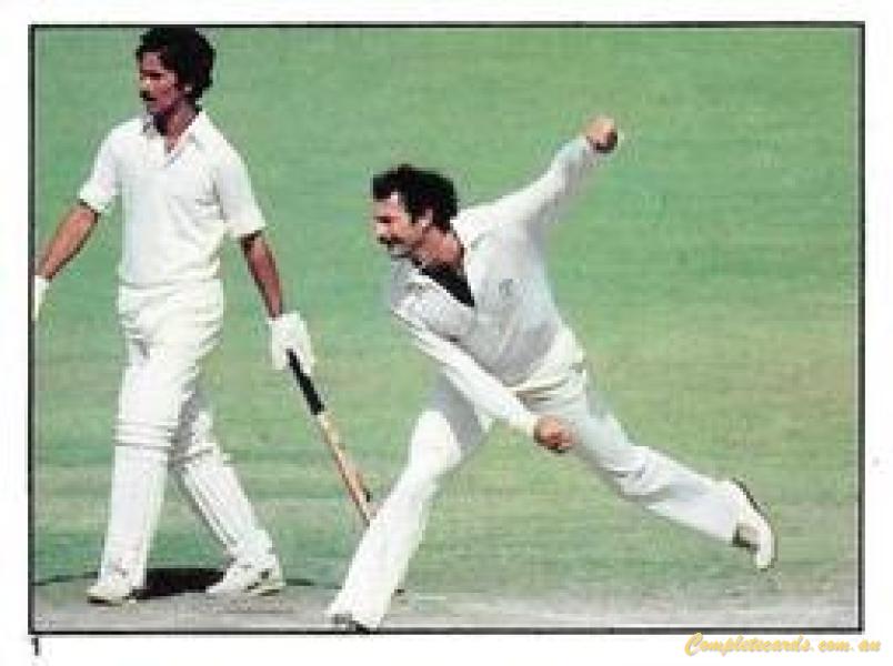 1982 Scanlens Cricket Stickers 