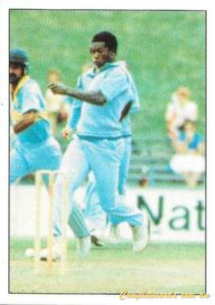1985 Scanlens Cricket Stickers 