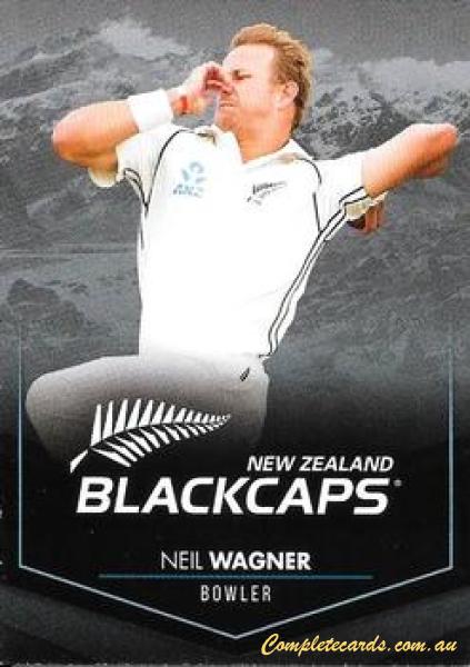 Neil Wagner