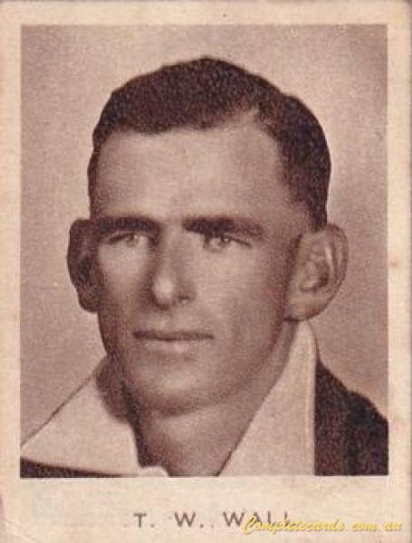 Tim Wall
