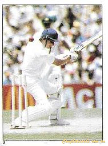 1983 Scanlens Cricket Stickers 