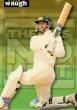 1995-96 Futera Cricket - There's No Limit 