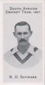 1993 County 1907 Taddy South African Cricket Team (reprint) 