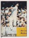 1982 Scanlens Cricket Stickers 