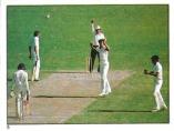 1983 Scanlens Cricket Stickers 
