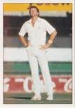 1985 Scanlens Cricket Stickers 