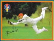 1995-96 South Australian Cricket Association 