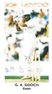 1990-91 County Print Services - The England Cricket Team