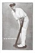 1934-35 Griffiths Bros. Pilot Cocoa Cricketers 