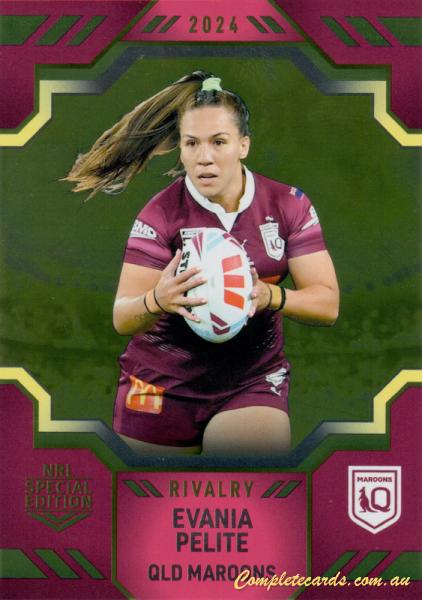 Evania Pelite