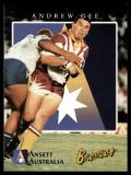 1997 Ansett Rugby League - Broncos