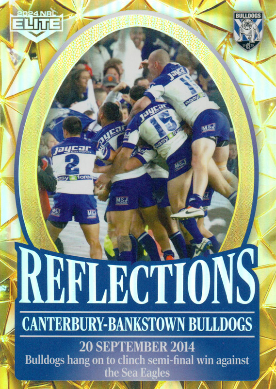 2014 Bulldogs Semi Final Win