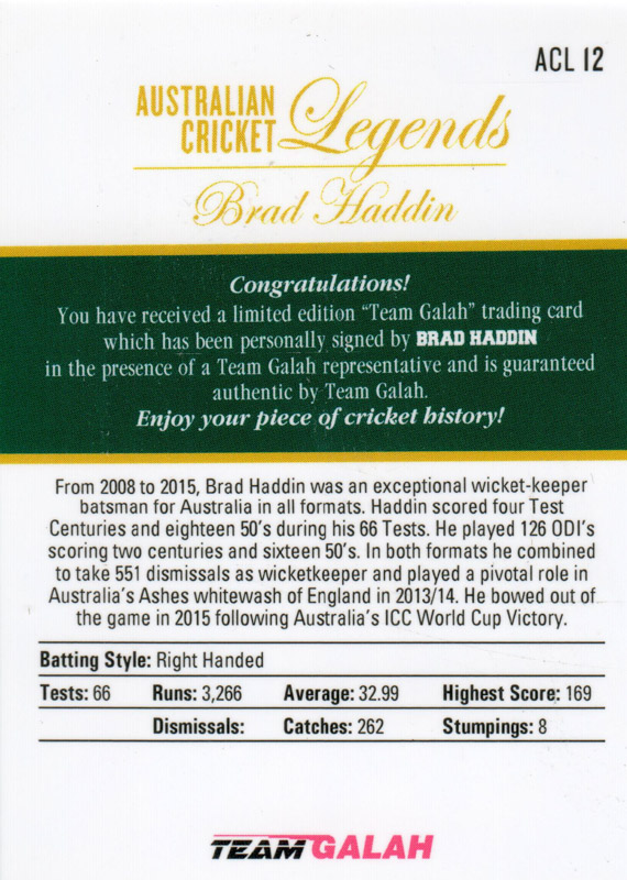 Brad Haddin back