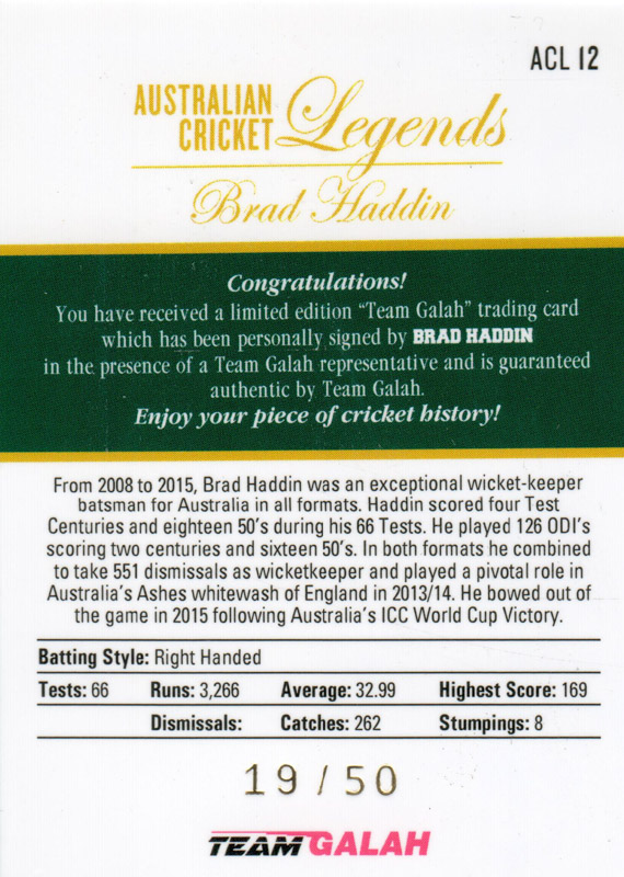 Brad Haddin back