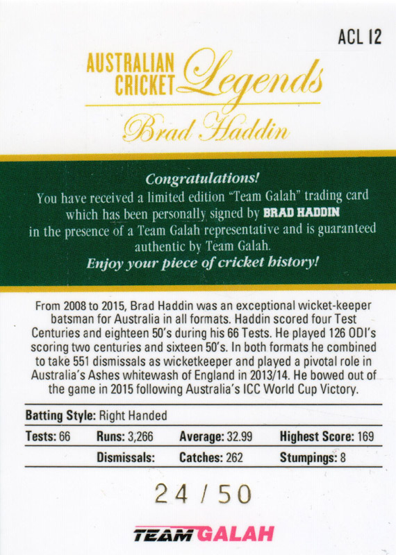 Brad Haddin back