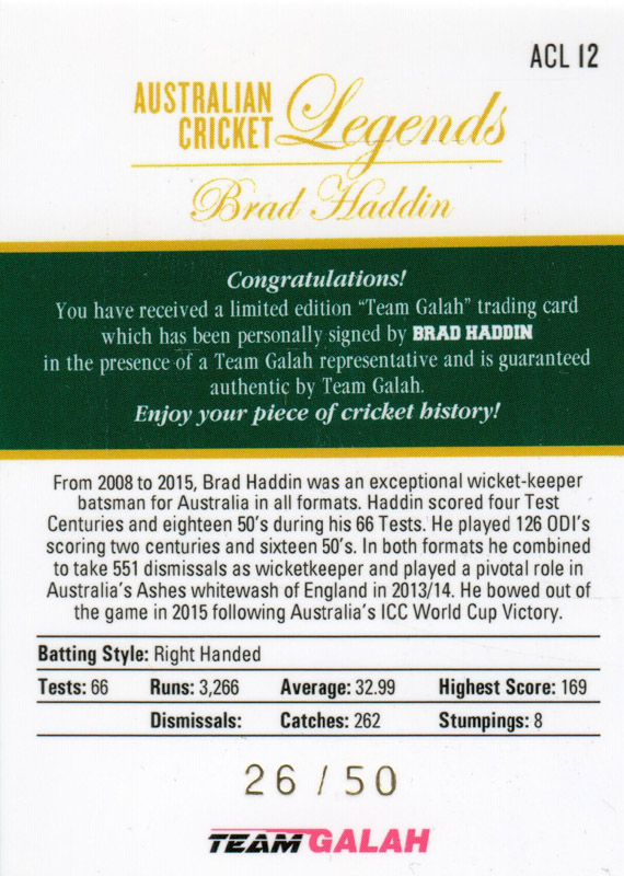 Brad Haddin back