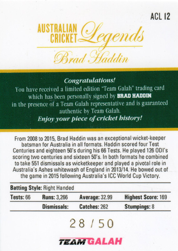 Brad Haddin back
