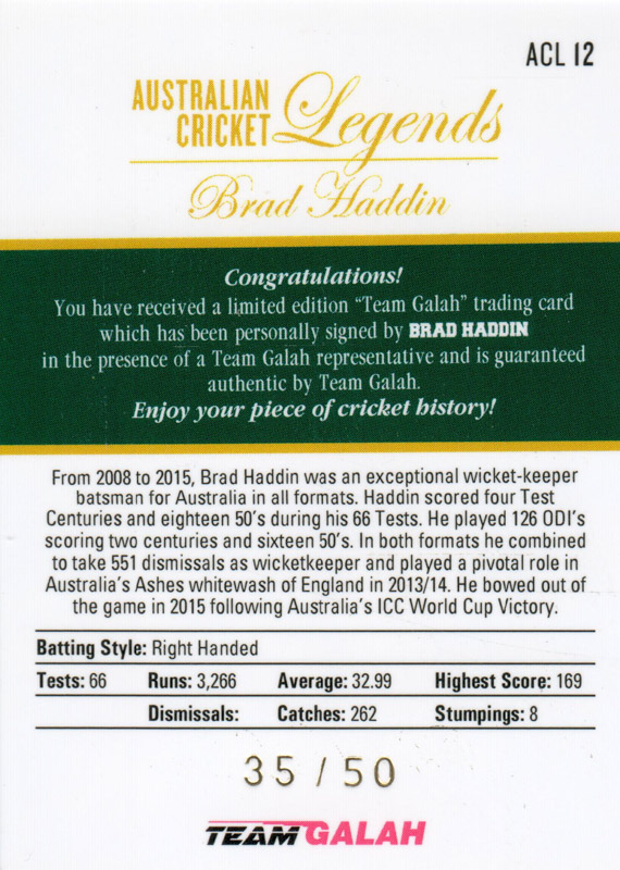 Brad Haddin back