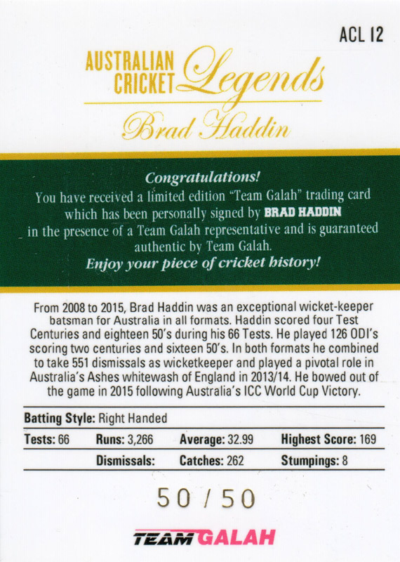 Brad Haddin back