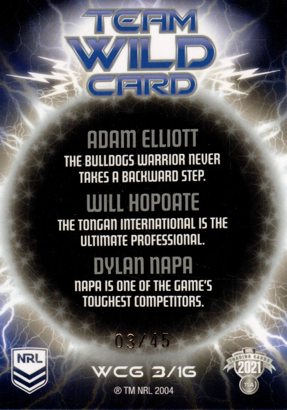 Adam Elliott / Will Hopoate / Dylan Napa back